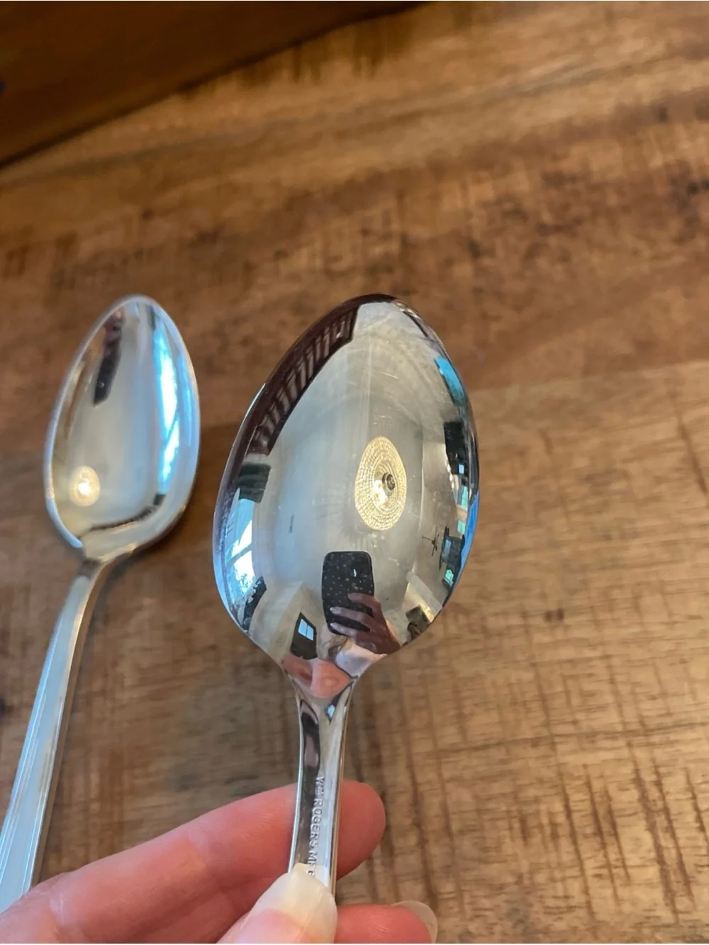 WM Rogers Terrace Table Spoons